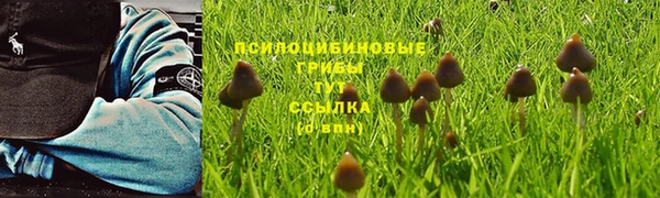 мескалин Баксан