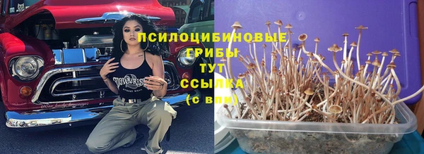 мескалин Баксан