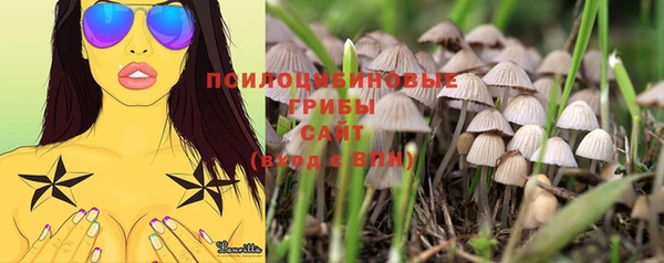 бутират Балабаново